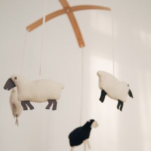 video-otzyv-studiya-sna-vera-borisovec5